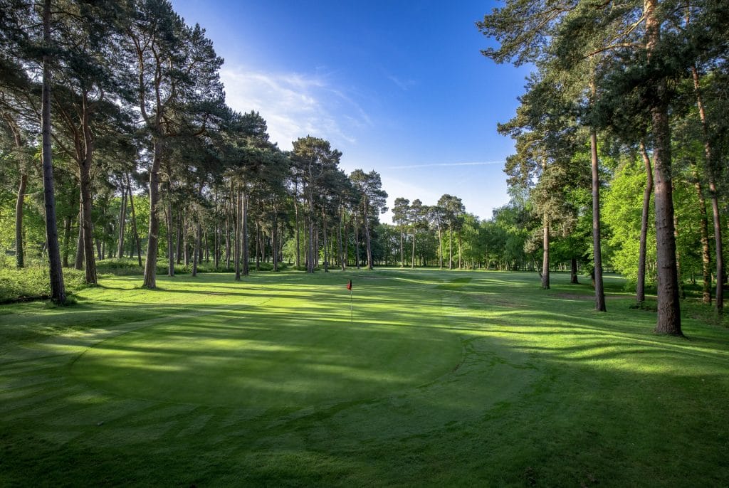 A scenic golf hole on a golf course Surrey, shaded by tall trees lining the fairway