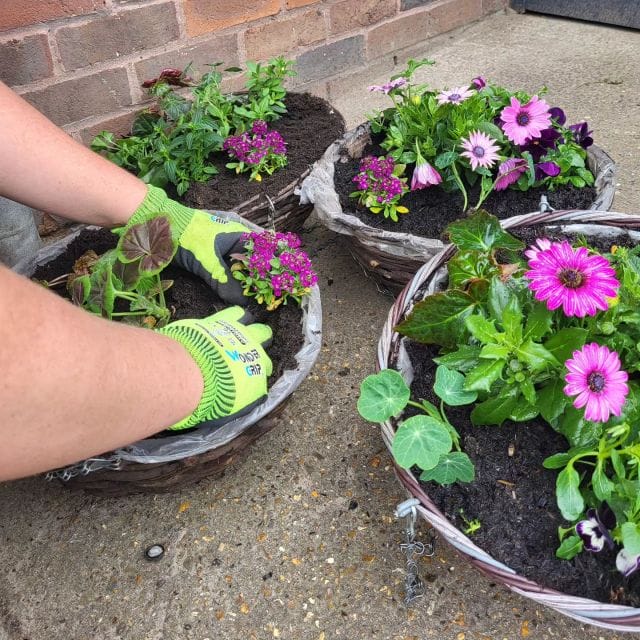 Our hand planted hanging baskets are ready to go out on display. 🌺🌼🌷 Summer is finally coming and patio season can begin! 🌞

#hoebridge #hoebridgegc #golf #summer #hangingbaskets #greenfingers #flowerdisplay #homegrown
