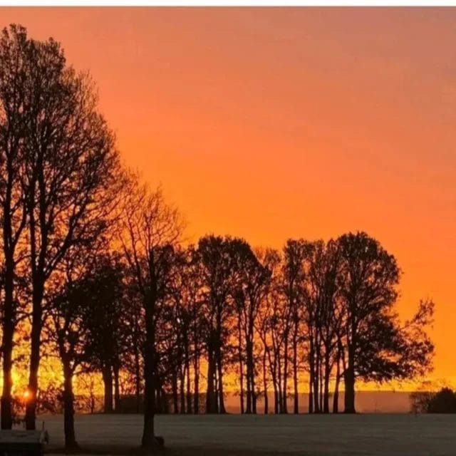 Have you secured your golf membership?

Golf is perfect for getting outside and enjoying the fresh air and natural scenery of our golf course, as well as burning those extra  Xmas calories!

To find out more, contact us on 01483 722611
#golfcourse #golf#scenery #freshair🍃 #christmas #hoebridge